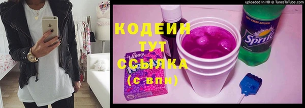 a pvp Новозыбков