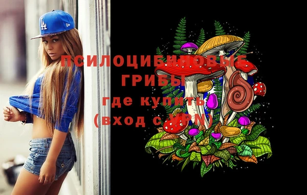 каннабис Новокубанск