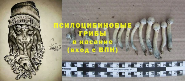 a pvp Новозыбков