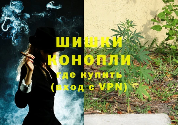 соль курить ск Новодвинск